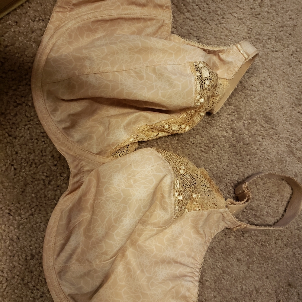 TWO 36GG elomi kim bras